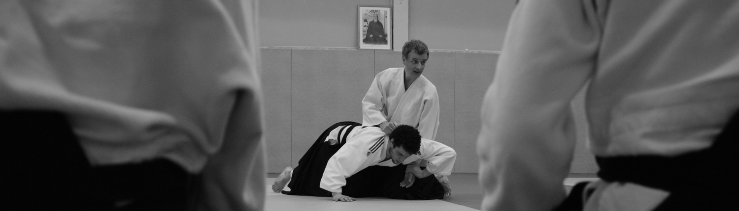 AIKIDO (2)